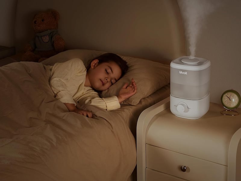 How to Choose a Humidifier