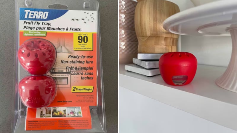 Split image of red apple-shaped fruit fly traps
