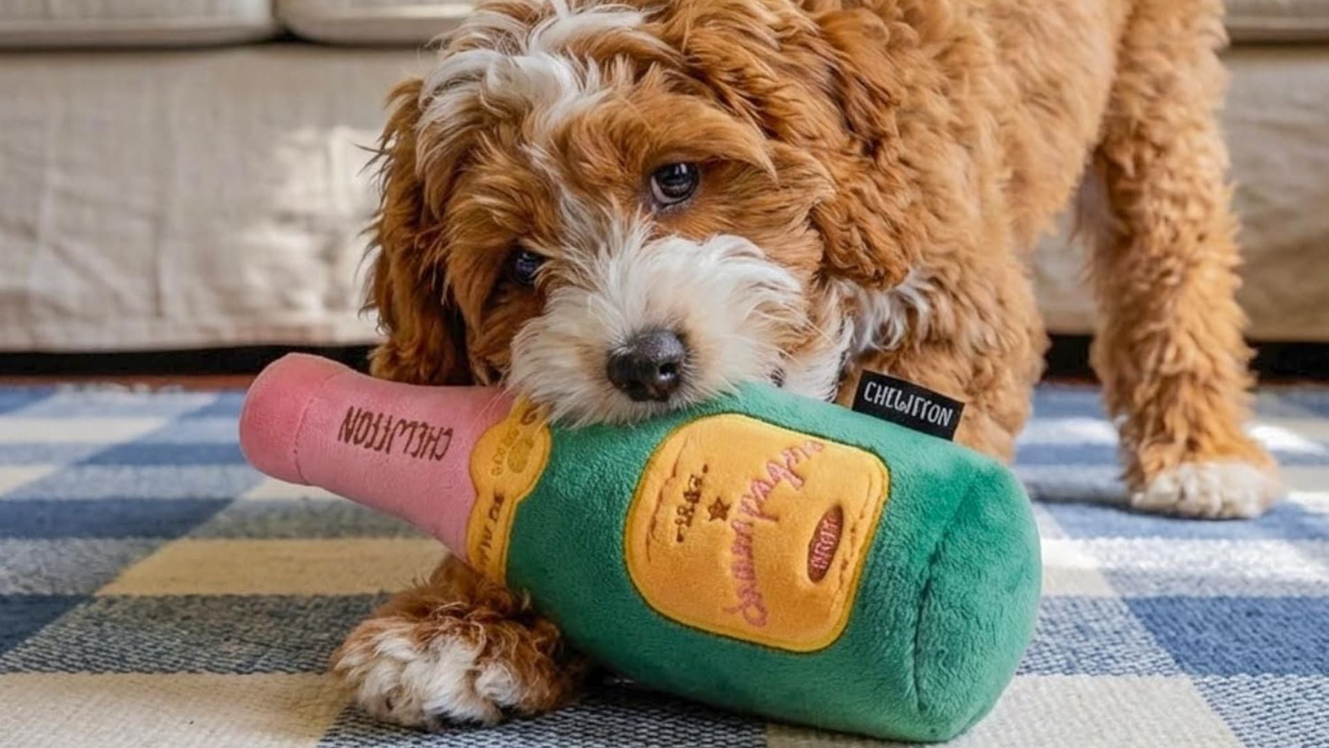 A puppy playing with a champagne stuffed toy.