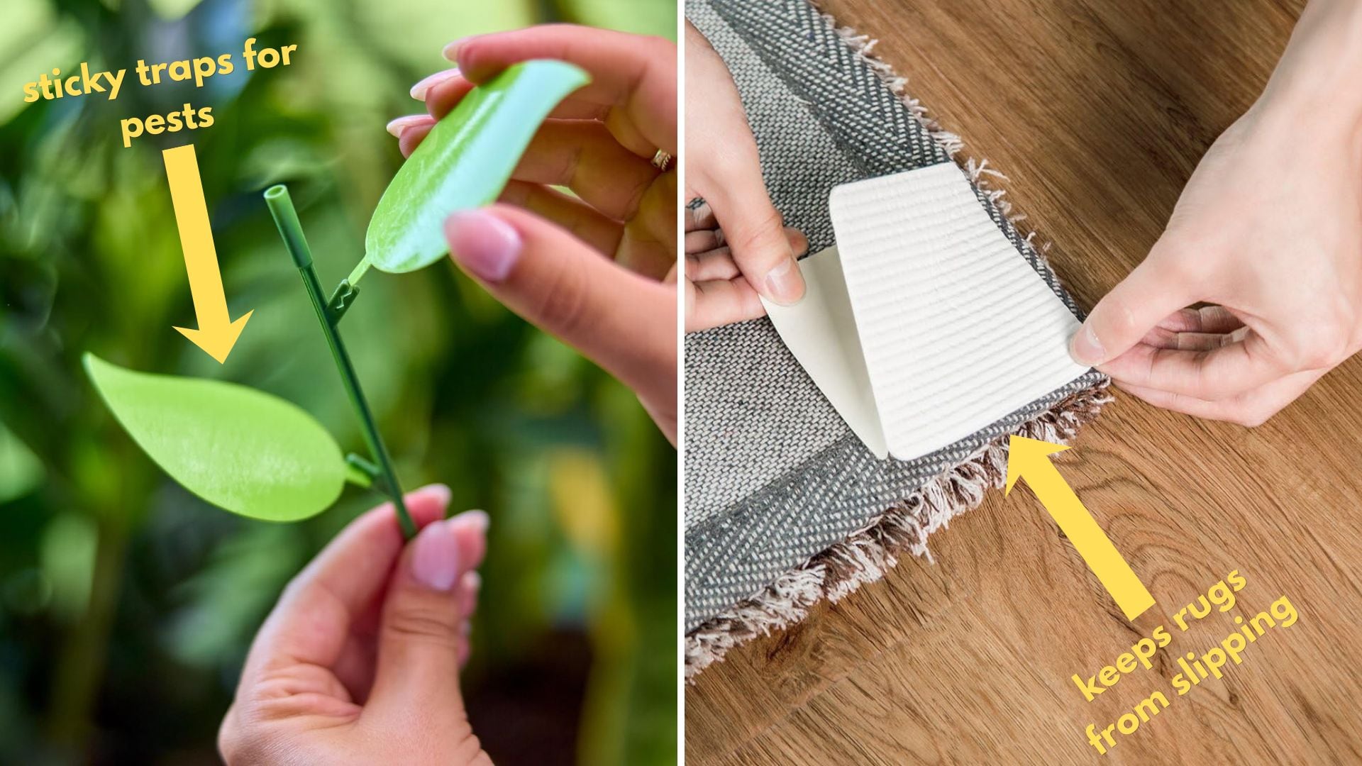 Sticky traps from Miracle-Gro and rug grippers.
