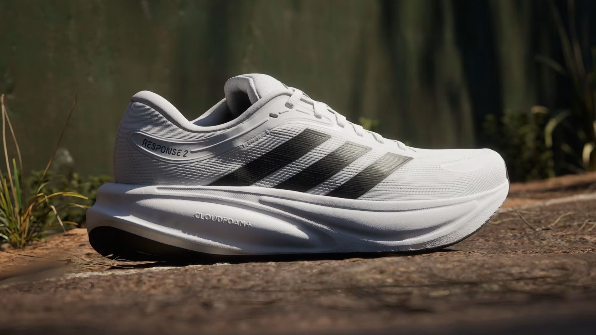 An Adidas running shoe on an outdoor trail.