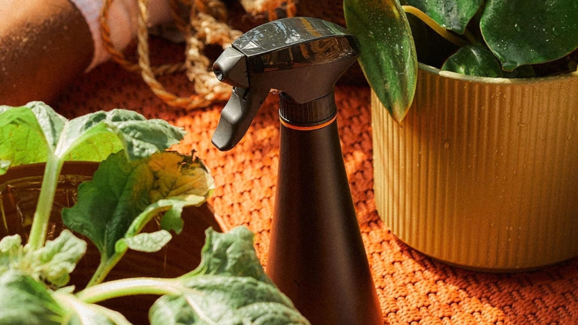 a spray bottle next to some indoor potted plants