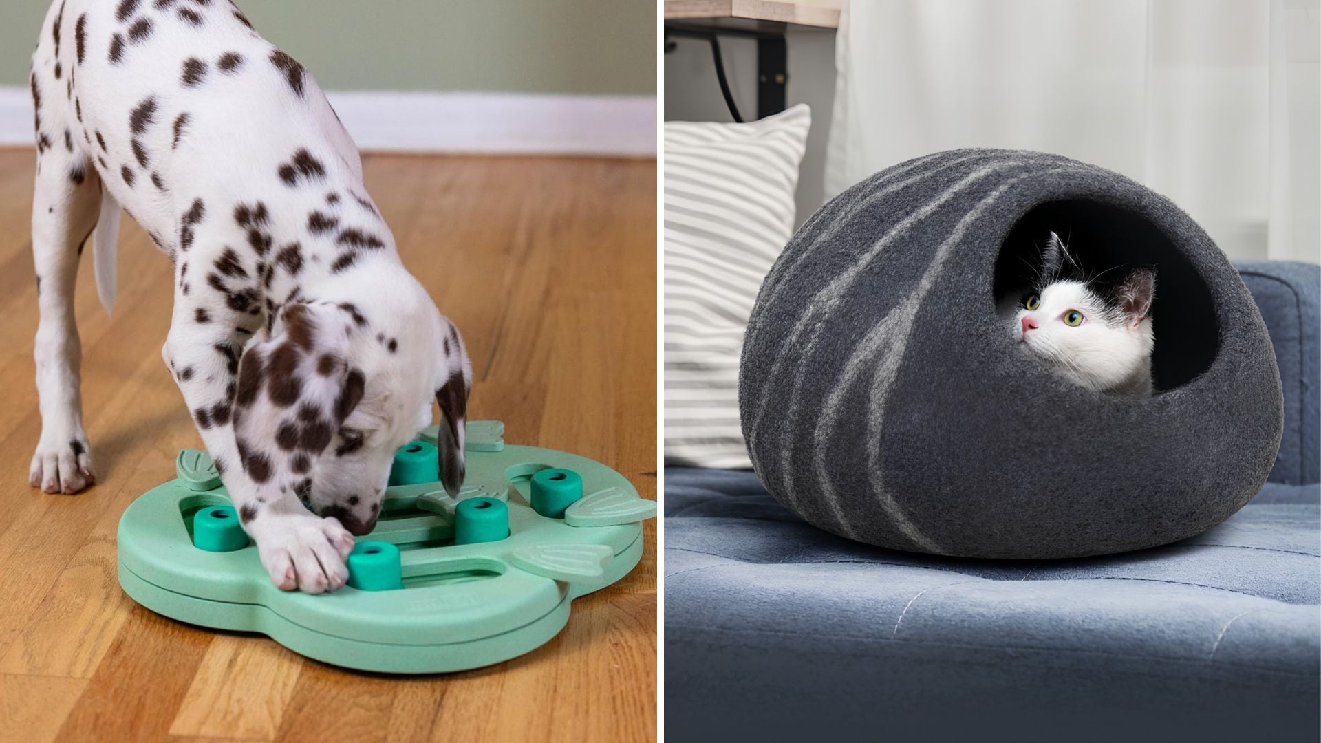 A Dalmatian puppy playing with a puzzle toy from Outward Hound and a cat inside a merino wool cat cave.