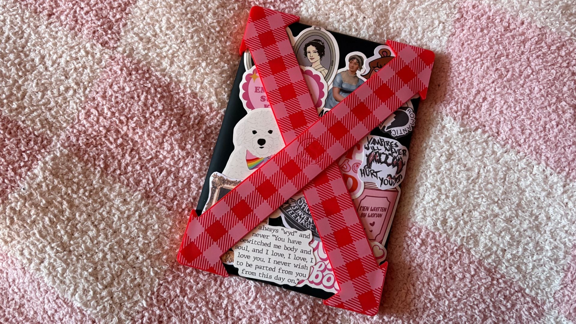 the straps on the back of Bianca's Kindle.