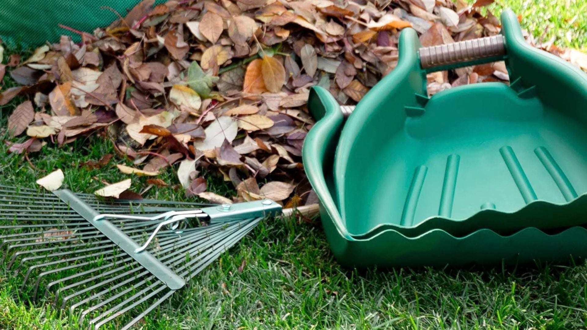 Leaf scoops and a rake on a pile of leaves.