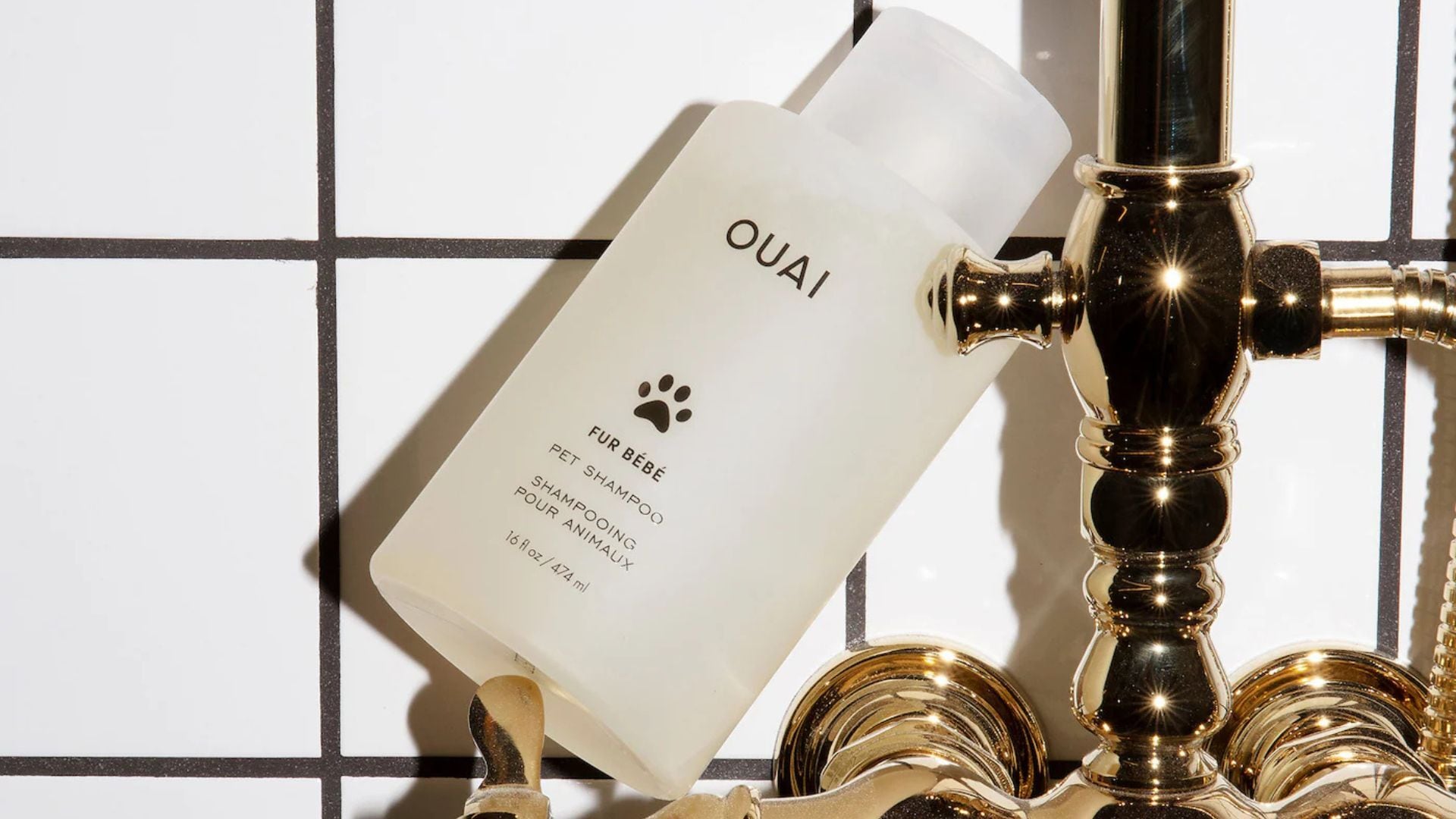 a bottle of pet shampoo leaning against a fancy shower faucet with a tiled wall behind it