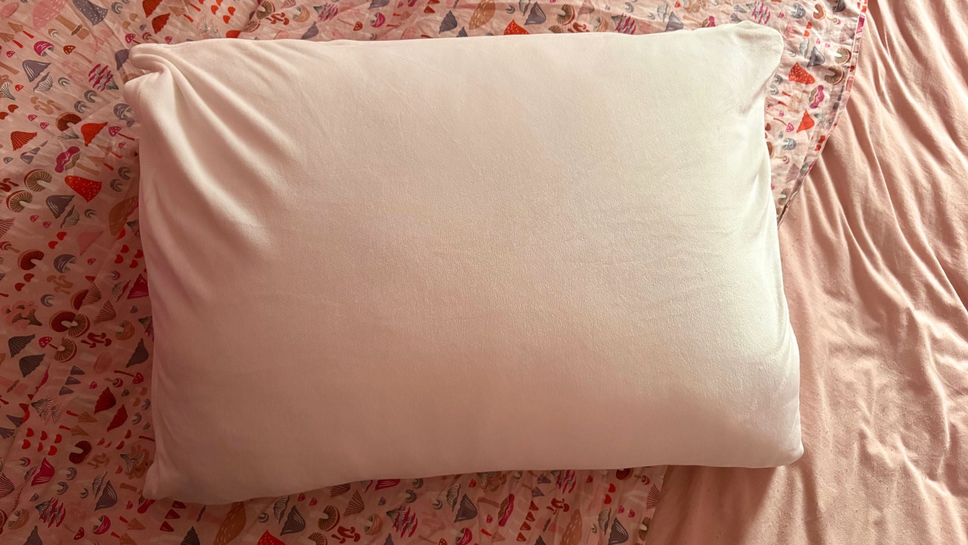 the pillow on Bianca's bed