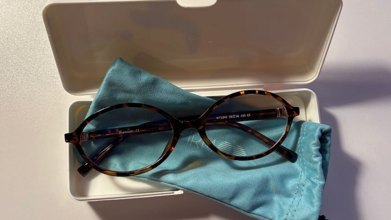 The glasses in their case on top of the soft polishing sleeve