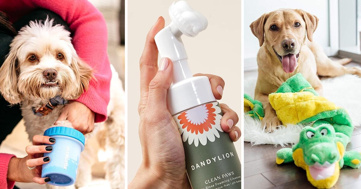 Problem Solver Dog 17 Problem-Solving Dog Products That Cost Less Than $30