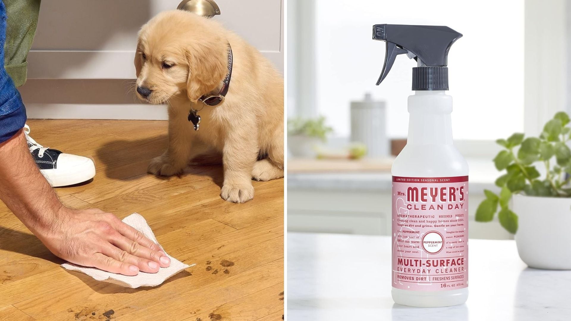 a split image of a person wiping up muddy paw prints next to a dog, and a cleaner on a kitchen counter