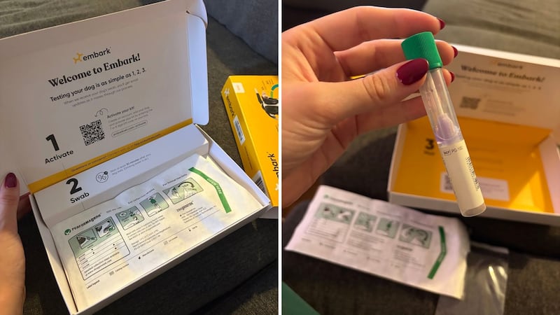 The DNA Test and the swab inside a vial.