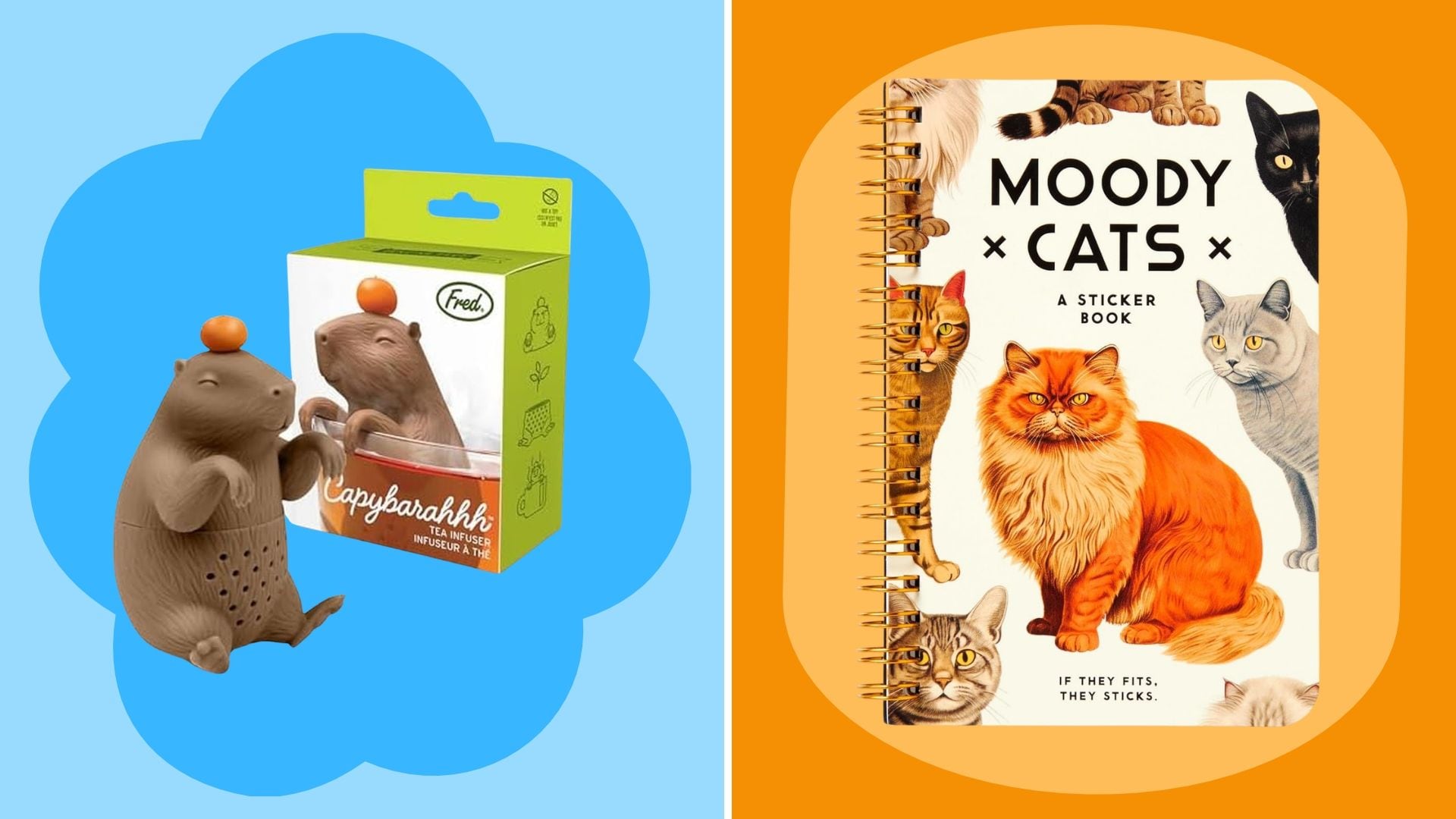 A Capybara Tea Infuser and a Moody Cats Sticker Book.