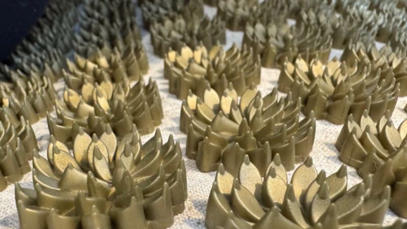 Close up on camellia spikes