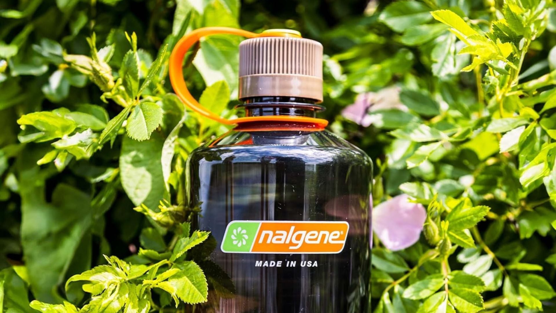 a Nalgene bottle in a flower bush