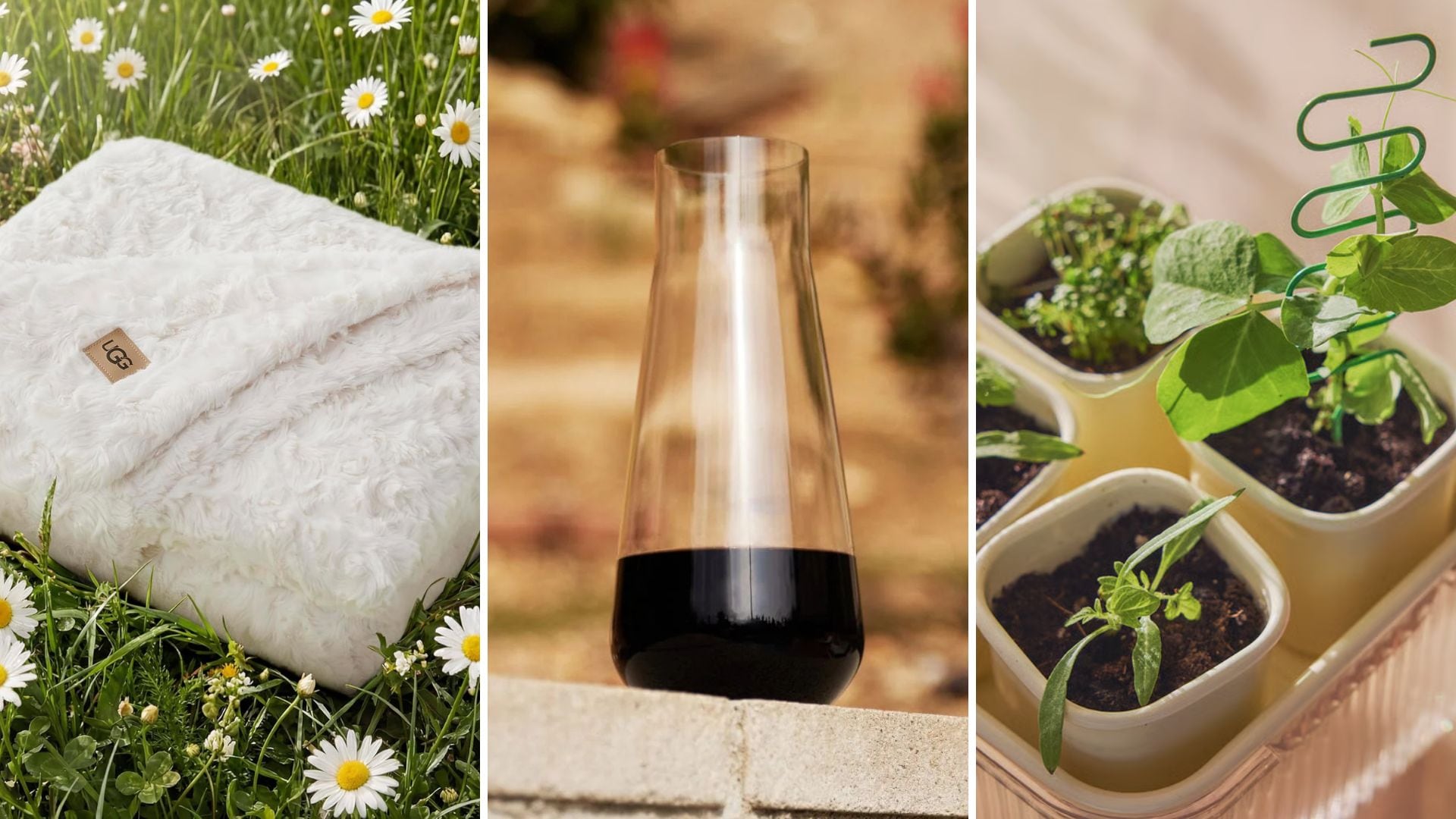 An UGG blanket, a Fable carafe, and an IKEA planter set.