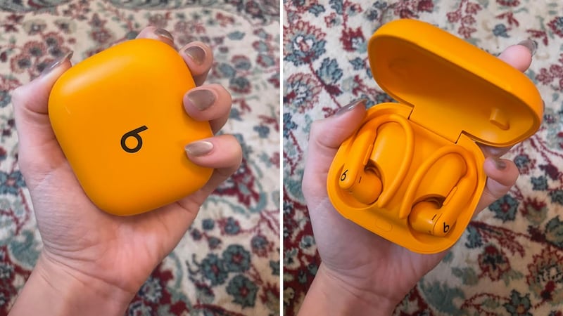 Alice holding the Beats Powerbeats Pro 2 Wireless Bluetooth Earbuds in their case.