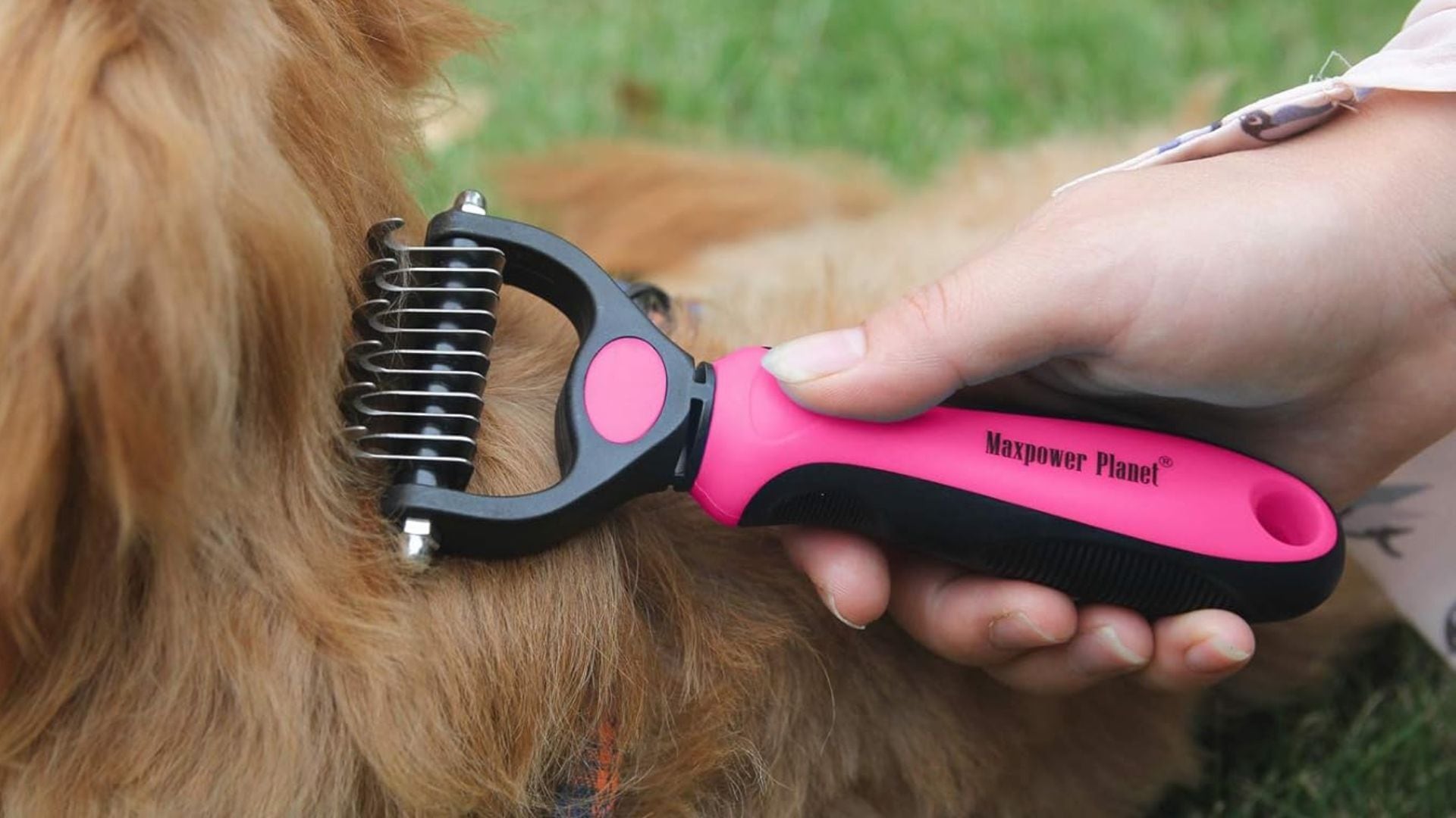 a two-sided grooming rake brushing a dog's fur