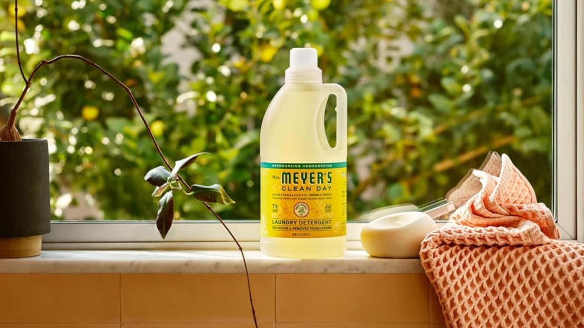 the laundry detergent on a counter in front of a bright window
