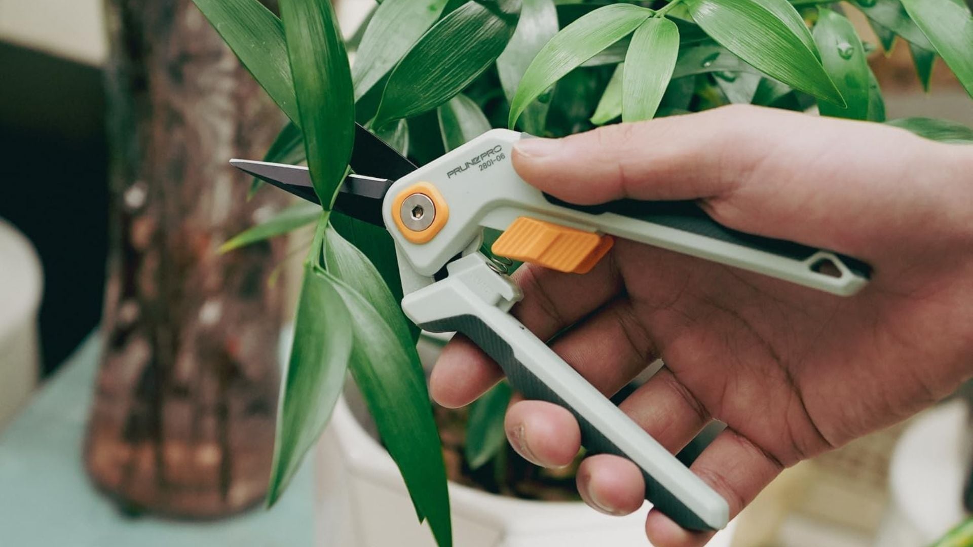 a person using gardening shears to prune a plant