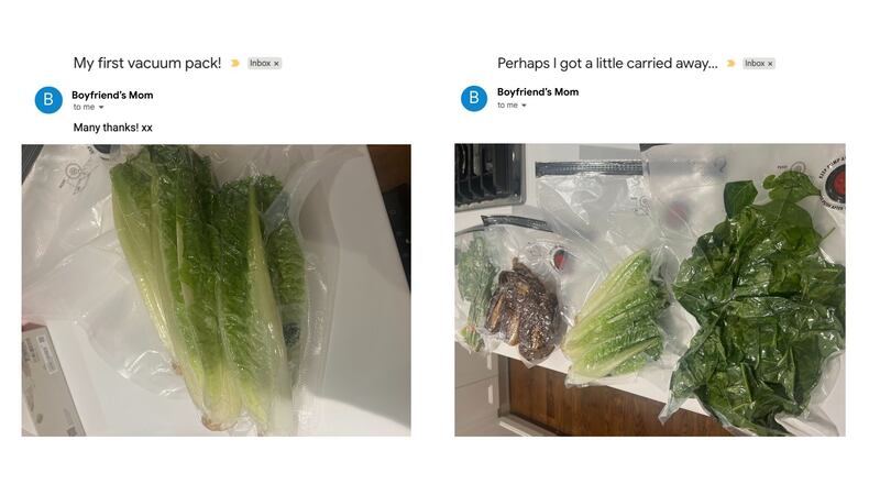 screenshots of emails demonstrating what the sealer has been used for