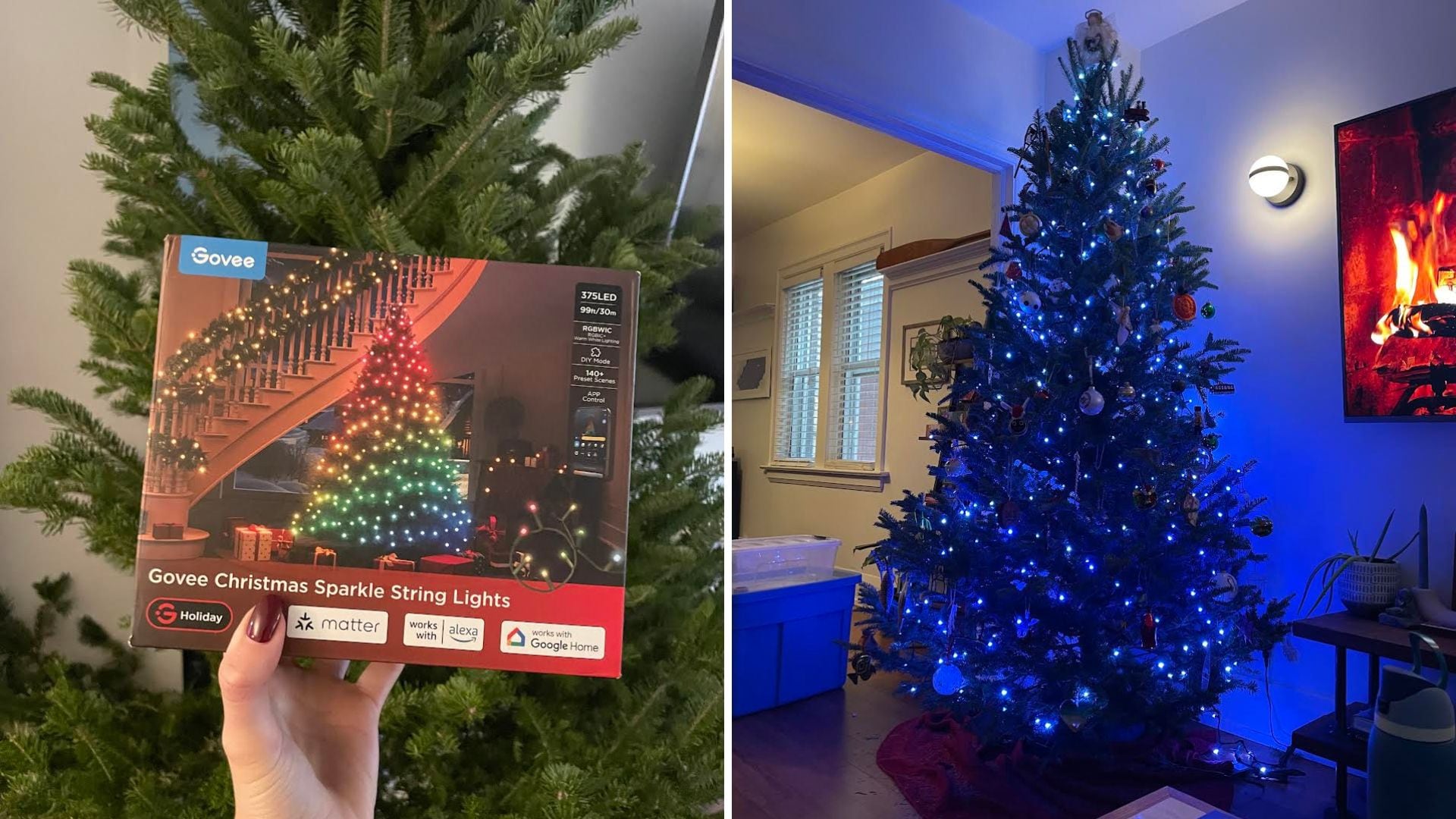 Alice is holding a box of lights and the lights on a tree.