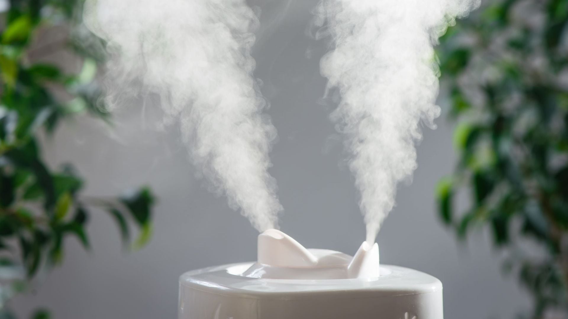 How to Choose Humidifier